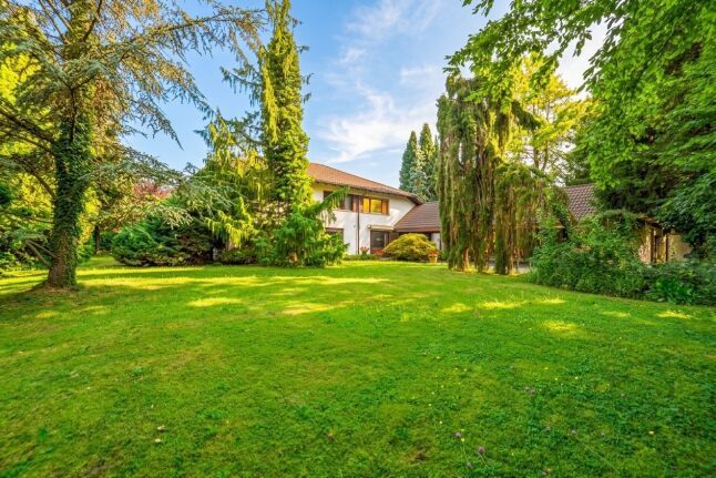Parkähnlicher Garten mit altem Baumbestand